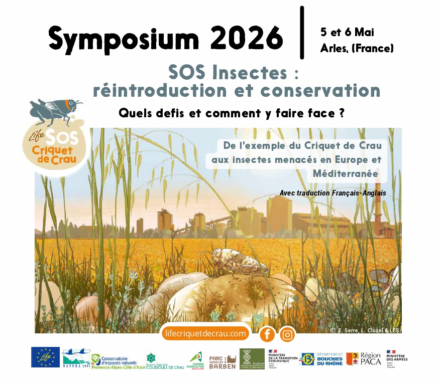 Visual representing the Crau plain and a cricket in the foreground.